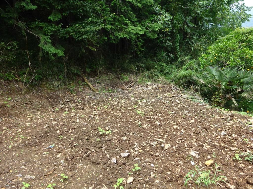 271 sqm Vacant Land for Sale in Kiryu, Gunma - Natural Setting - Thumbnail 2