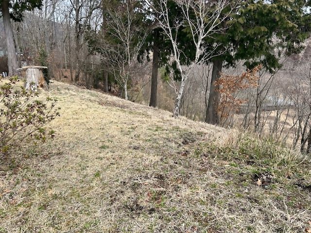 280 sqm Land for Sale in Kokonoe, Oita - Thumbnail 4