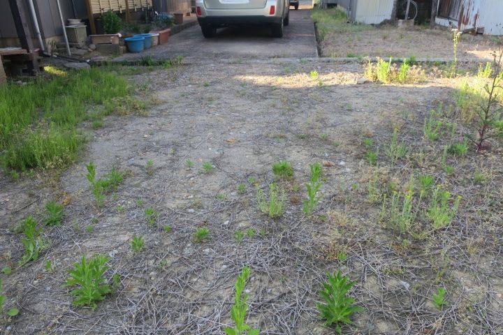 Vacant Residential Land for Sale in Sanjo City, Niigata - Thumbnail 4