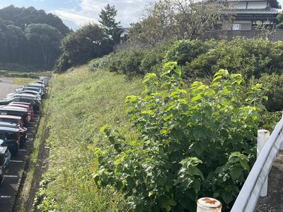 Spacious 8DK House Near Kunimi Junior High School, Imari City — Image 1, Imari, Saga