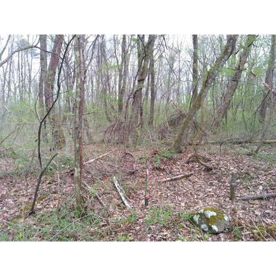 24-0002 - Property Details - Gunma Prefecture Tsumagoi Village Vacant House Bank Site — Image 3, Agatsuma District, Gunma