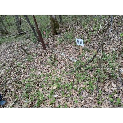 24-0002 - Property Details - Gunma Prefecture Tsumagoi Village Vacant House Bank Site — Image 2, Agatsuma District, Gunma