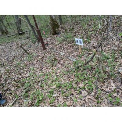 24-0002 - Property Details - Gunma Prefecture Tsumagoi Village Vacant House Bank Site — Image 1, Agatsuma District, Gunma