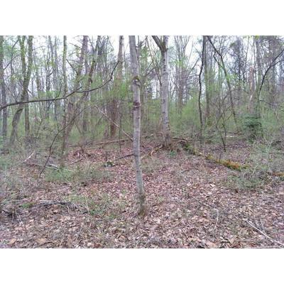 24-0002 - Property Details - Gunma Prefecture Tsumagoi Village Vacant House Bank Site — Image 4, Agatsuma District, Gunma