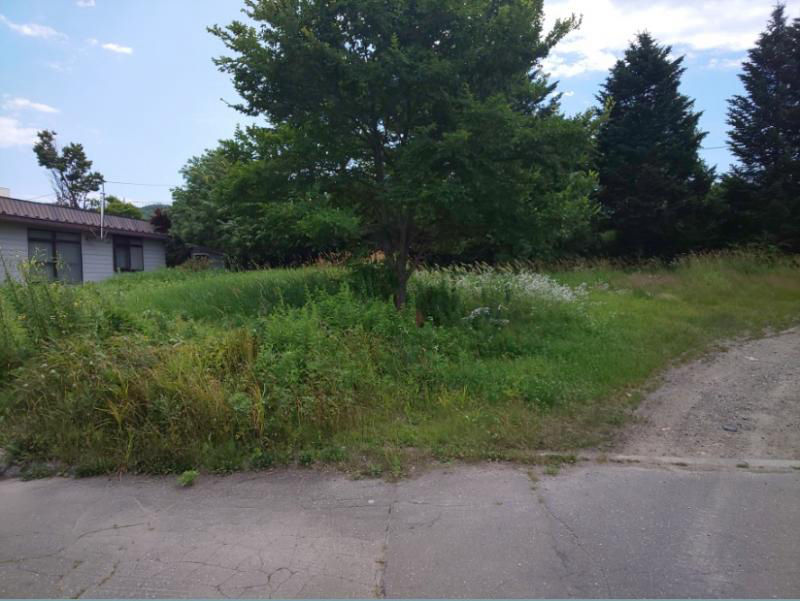Land for sale in Honbetsu, Hokkaido - 370sqm plot - Thumbnail 2