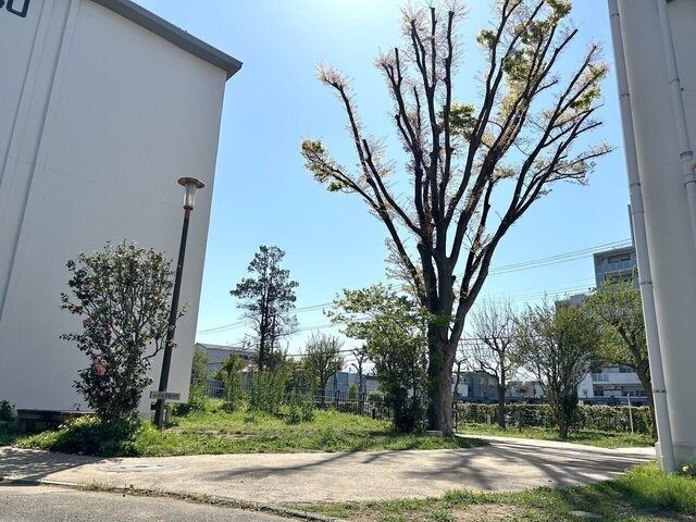 37m² 1DK Rental Apartment in Adachi-ku, Tokyo - Thumbnail 4
