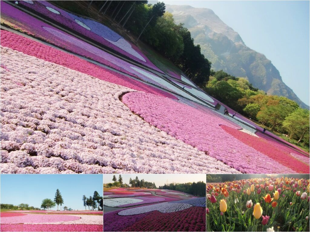 Land for Sale in Central Chichibu, Saitama - 170m² Plot - Thumbnail 3