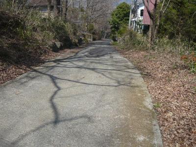 Mountain Villa Land Plot in Chichibu - 148m² with Forest Views — Land, Chichibu, Saitama