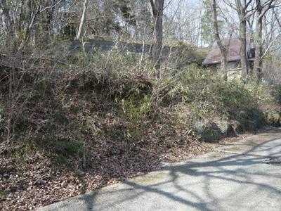 Mountain Villa Land Plot in Chichibu - 148m² with Forest Views — Land, Chichibu, Saitama