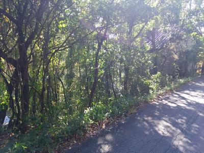 [Price revision] Yokose Town Shimokarimae Forest | Chichibu Vacant House Bank — House, Yokose, Saitama