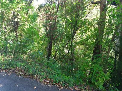 [Price revision] Yokose Town Shimokarimae Forest | Chichibu Vacant House Bank — Garden, Yokose, Saitama