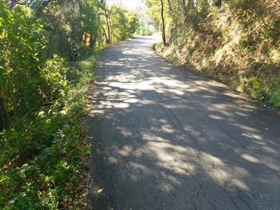 [Price revision] Yokose Town Shimokarimae Forest | Chichibu Vacant House Bank — Land, Yokose, Saitama