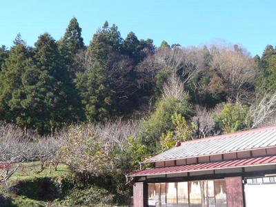 6,221m² Mixed-Use Property in Minano-machi Natural Park Area — Image 1, Minano, Saitama