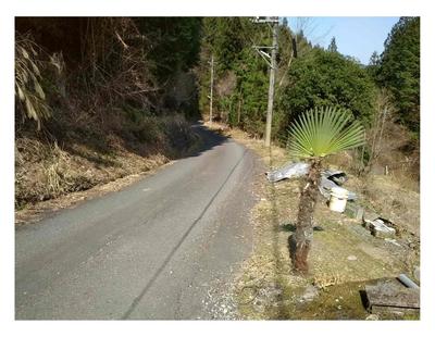 Arakawa Hino! A villa area blessed with Onitazawa and trees | Chichibu Vacant House Bank — Image 2, Sakuho, Nagano