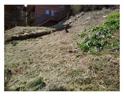 Arakawa Hino! A villa area blessed with Onitazawa and trees | Chichibu Vacant House Bank — Image 4, Sakuho, Nagano