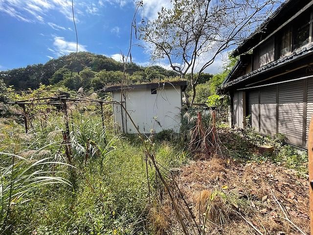 Spacious Farmland with Old House in Minano, Saitama - Thumbnail 3