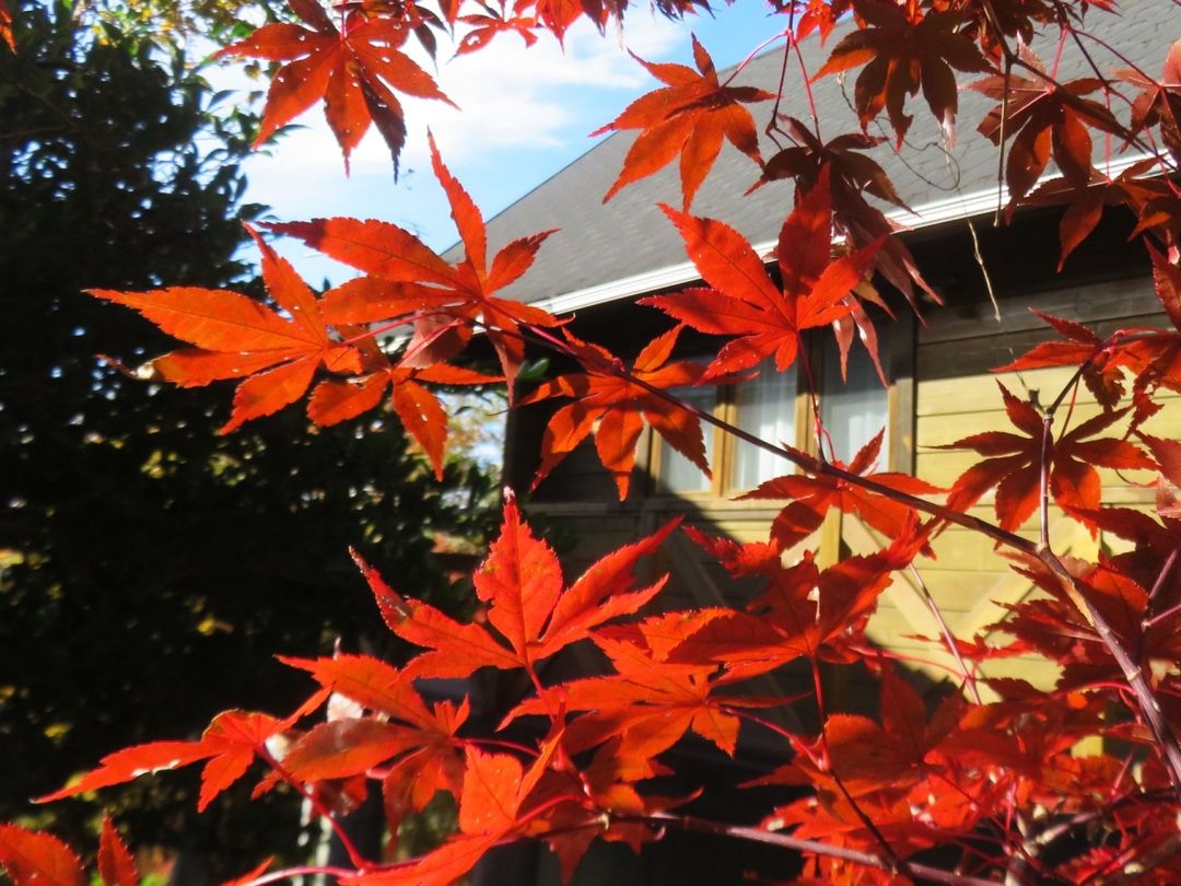 Quality Log House with Workshop in Chichibu's Minano Town - Thumbnail 4