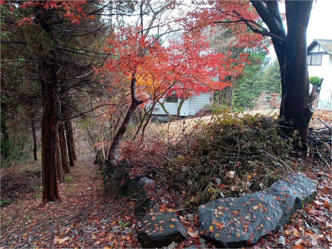 Vacation Land for Sale in Yokozemachi, Saitama with Panoramic Views - Thumbnail 3
