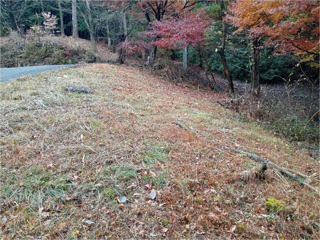 Vacation Land for Sale in Yokozemachi, Saitama with Panoramic Views - Thumbnail 4