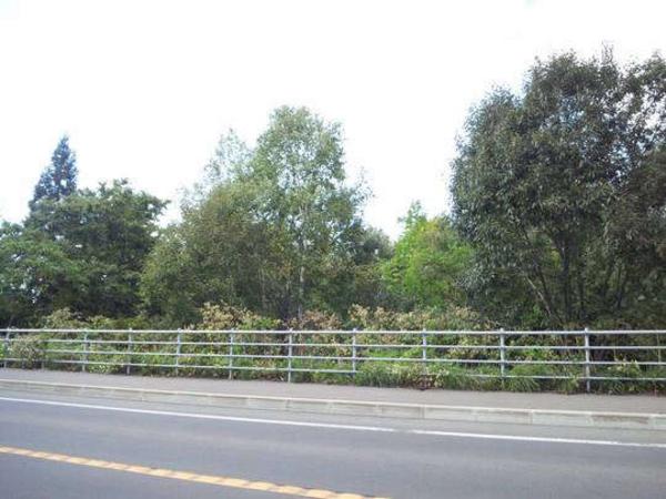 778.83sqm Land Plot for Sale in Mikasa City, Hokkaido - Thumbnail 2