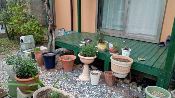 5SLDK Custom-Built House in Kobe, Hyogo | 156.44 sqm - Thumbnail 2
