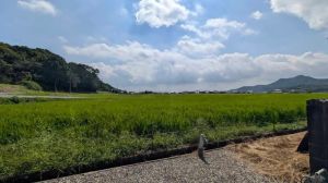 Traditional Japanese House in Kasai Countryside - Thumbnail 2