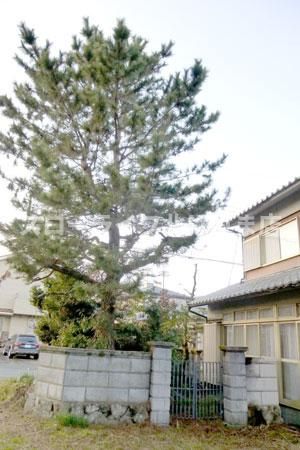 西脇市嶋の中古戸建て 6DK 650万円 - Thumbnail 4