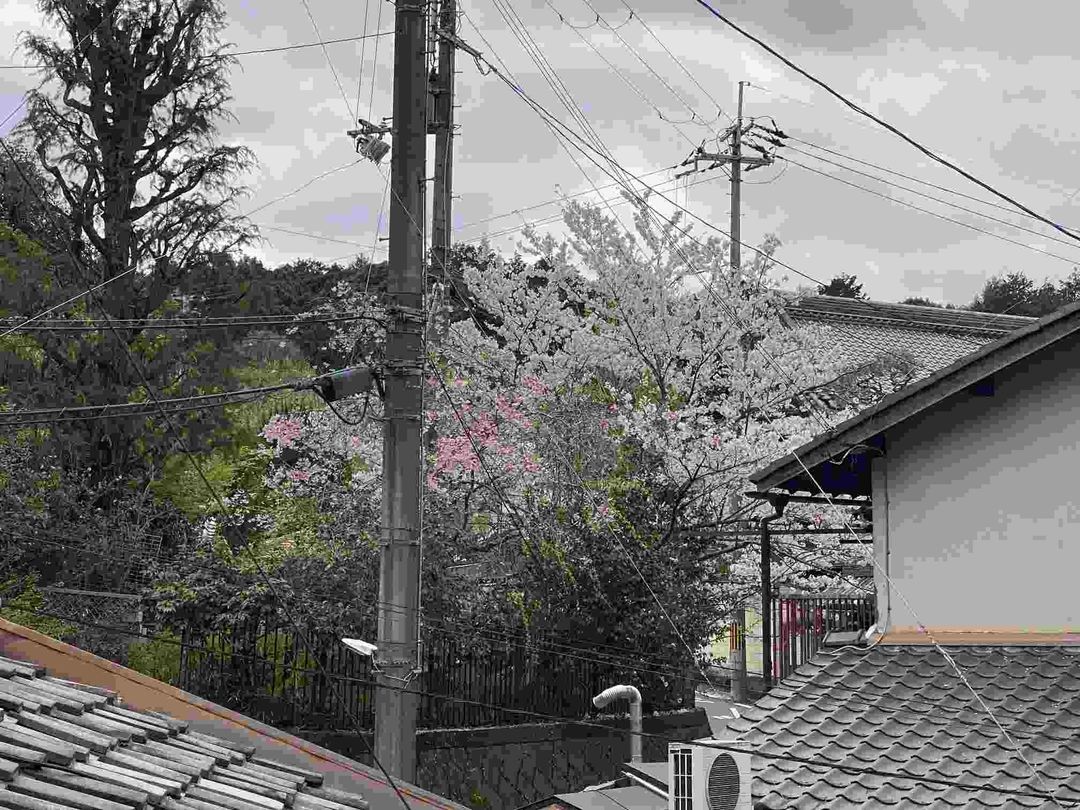 6LDK RC House for Sale in Higashiyama, Kyoto - Thumbnail 4