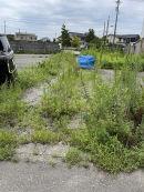 Vacant House Bank | Live in Imizu (Imizu City migration and settlement support site) — Image 1, Imizu, Toyama