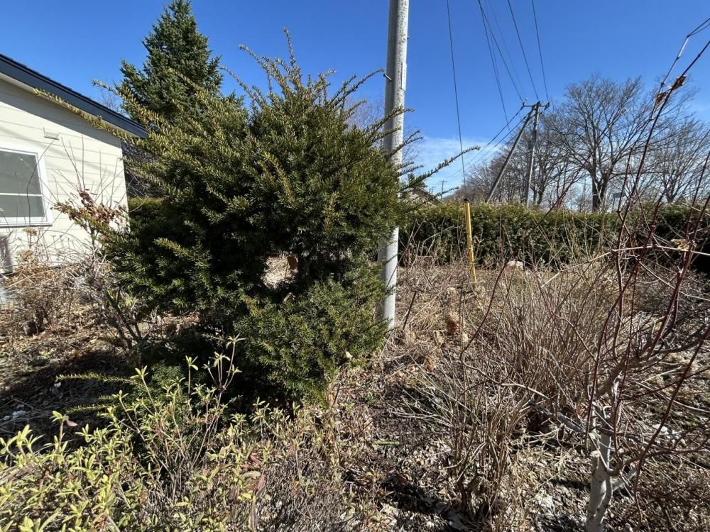 Renovated 3LDK House Near Ikeda Station, Hokkaido - Thumbnail 2