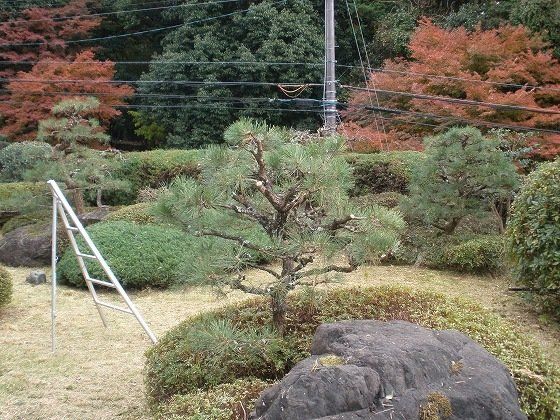 Vacant House in Kyoto's Sakyo Ward with 4LK Layout and 661m² Land - Thumbnail 4