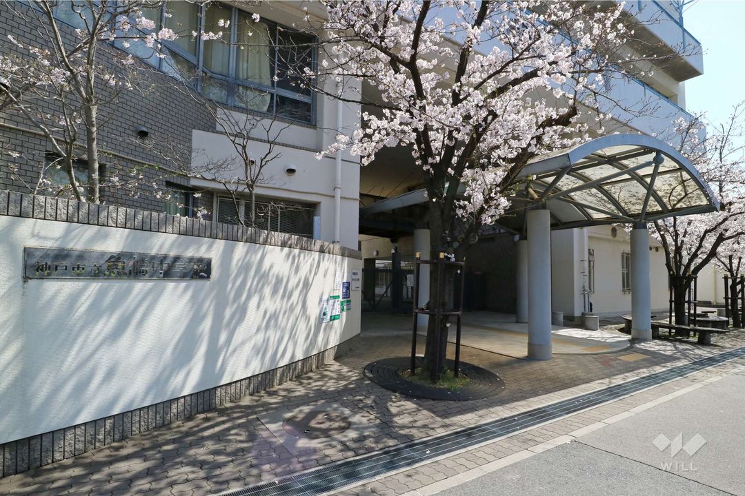 4SLDK Detached House Near Aoki Station, Kobe | 221 sqm - Image 1