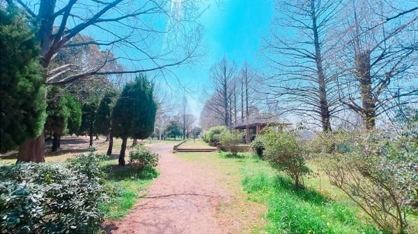 5DK Detached House in Hirakata, Osaka - 108.46 sqm, 32.6 Tsubo Land - Thumbnail 3