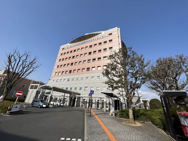 Modern 4-Bedroom House in Kawachinagano, Osaka - Built 2023 - Thumbnail 2