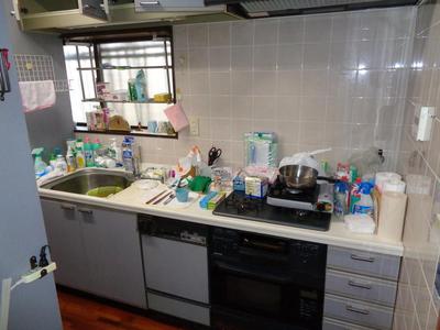 13SLDK House on Large Corner Lot in Kanan, Osaka — Kitchen, Kanan, Osaka