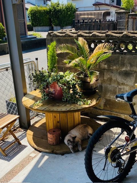 5SLDK 3-Story House for Sale in Shimazaki-cho, Tsu City, Mie - Image 1