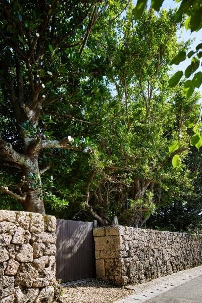 Modern 2020-Built House with Private Garden on Ishigaki Island - Thumbnail 3