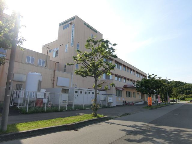 New 4LDK Detached House in Tomakomai, Hokkaido | 2025 Build - Thumbnail 4