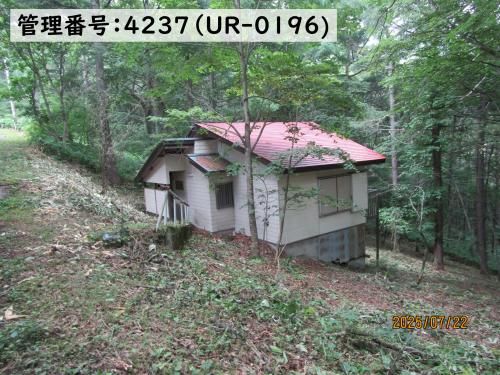 Mountain Property in Sugadaira Highlands, Nagano - Thumbnail 2