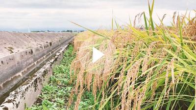 Imizu City Migration Support Site — Image 2, Imizu, Toyama