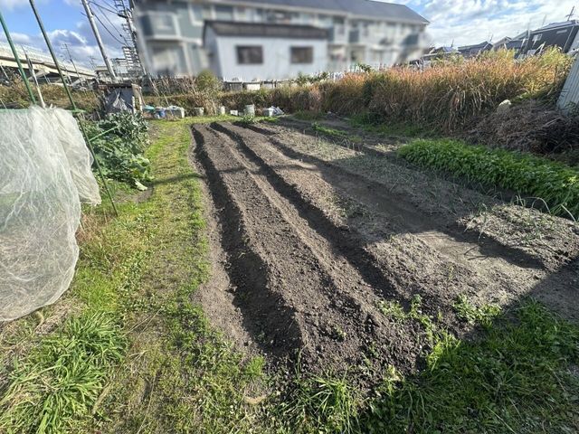 120 Tsubo Land with 3DK House Near Kita-Shinoda Station, Izumi - Thumbnail 2