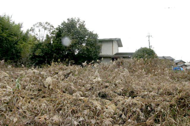Used Detached House in Kasai City, Hyogo - 4DK, 6,980,000 Yen - Thumbnail 2