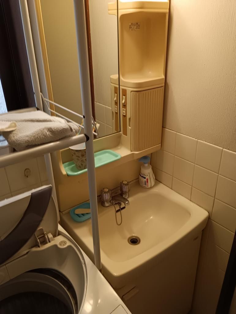 5K Detached House for Sale in Suminoe Ward, Osaka - Thumbnail 4
