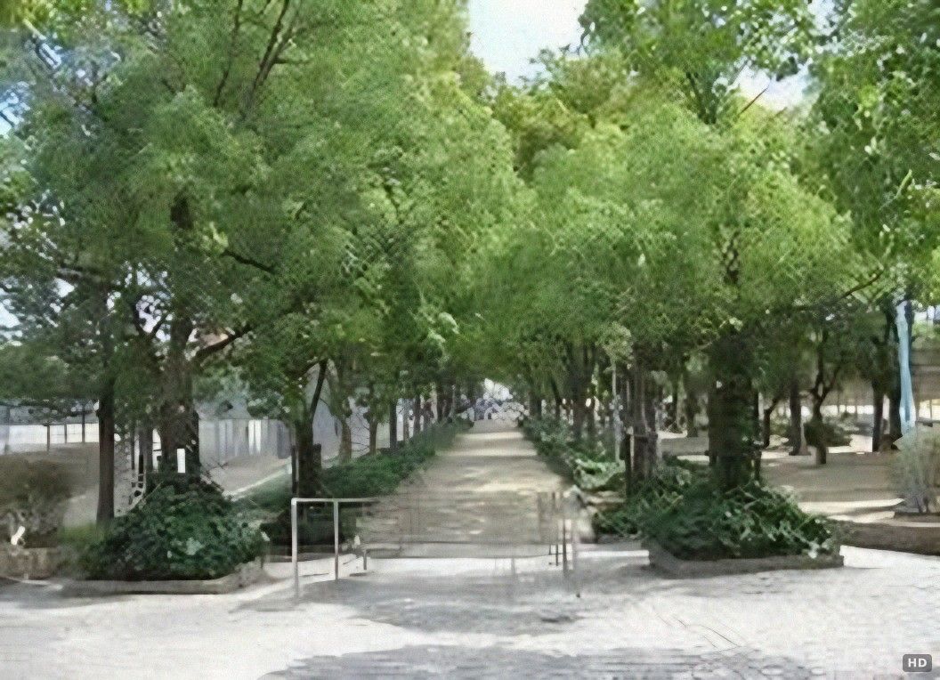3LDK Detached House for Sale in Taisho Ward, Osaka - Thumbnail 2