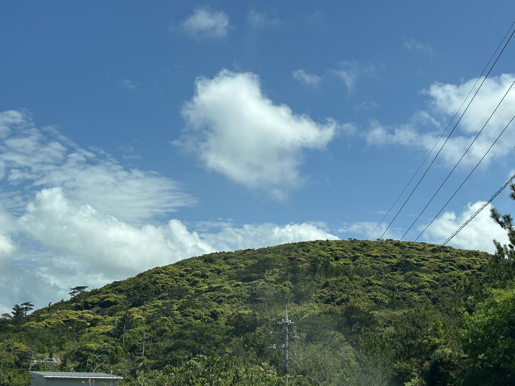 1K House for Sale in Nakijin Village, Okinawa - 24sqm - Thumbnail 4