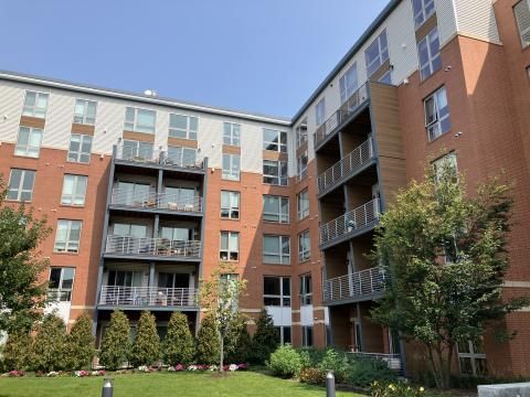 1BR Apartment for Rent in East Boston, MA - Thumbnail 2