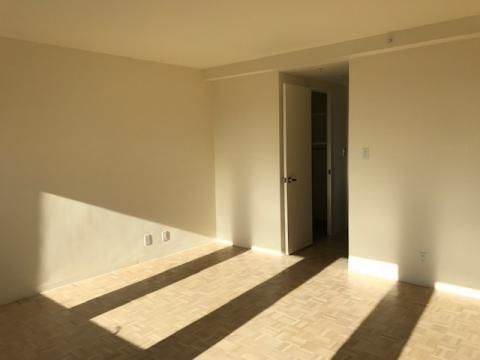 1-Bedroom Luxury Apartment for Rent in Boston's Back Bay - Thumbnail 4