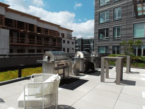 3-Bedroom Apartment for Rent in Allston-Brighton, Boston - Thumbnail 2