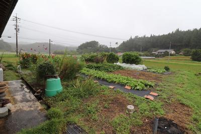 No.211 A single-story detached house with a field surrounded by beautiful rural scenery. (Introduction video available) - Okuizumo Town Settlement Support Site Deep Town Okuizumo — Image 1, Okuizumo, Shimane