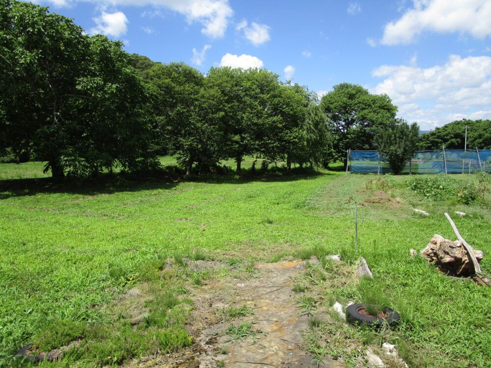 Spacious 853sqm House on 4512sqm Land in Tono, Iwate - Thumbnail 3